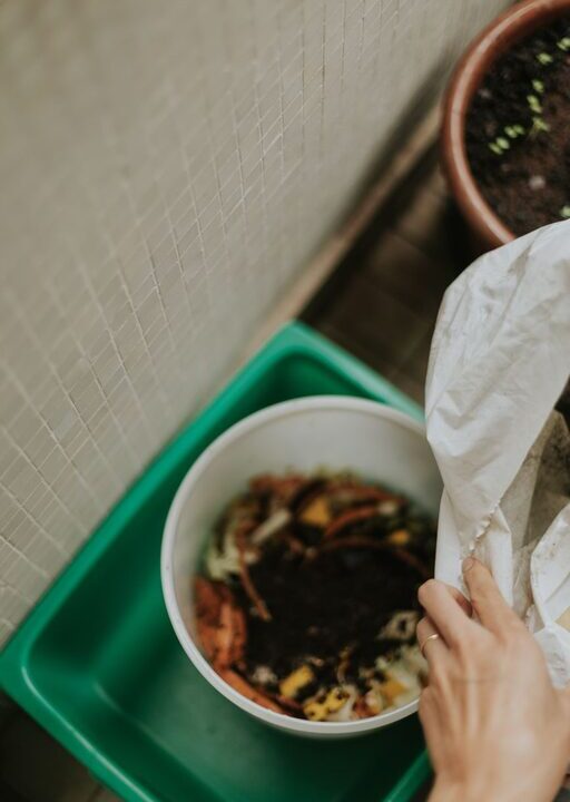 Practical Ways to Reduce Food Waste at Home